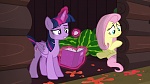 Image Mon Petit Poney : The Hooffields and McColts