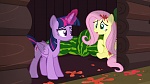 Image Mon Petit Poney : The Hooffields and McColts