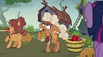 Image Mon Petit Poney : The Hooffields and McColts