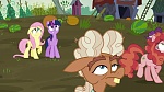 Image Mon Petit Poney : The Hooffields and McColts