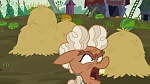 Image Mon Petit Poney : The Hooffields and McColts