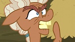 Image Mon Petit Poney : The Hooffields and McColts