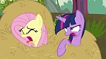 My Little Pony :  picture