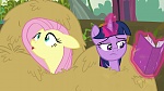 Image Mon Petit Poney : The Hooffields and McColts