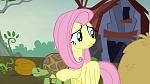 Image Mon Petit Poney : The Hooffields and McColts