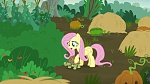 Image Mon Petit Poney : The Hooffields and McColts