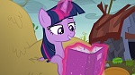 Image Mon Petit Poney : The Hooffields and McColts