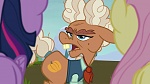 Image Mon Petit Poney : The Hooffields and McColts
