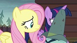 Image Mon Petit Poney : The Hooffields and McColts