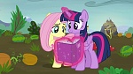 Image Mon Petit Poney : The Hooffields and McColts