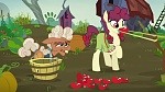Image Mon Petit Poney : The Hooffields and McColts