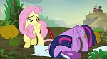 Image Mon Petit Poney : The Hooffields and McColts