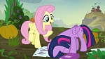 Image Mon Petit Poney : The Hooffields and McColts
