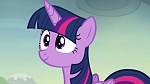 Image Mon Petit Poney : The Hooffields and McColts