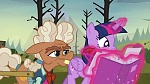 Image Mon Petit Poney : The Hooffields and McColts
