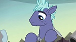 Image Mon Petit Poney : The Hooffields and McColts