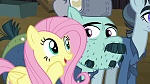 Image Mon Petit Poney : The Hooffields and McColts