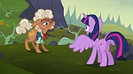 Image Mon Petit Poney : The Hooffields and McColts