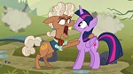 Image Mon Petit Poney : The Hooffields and McColts