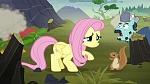 Image Mon Petit Poney : The Hooffields and McColts
