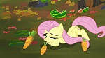 Image Mon Petit Poney : The Hooffields and McColts