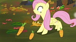 Image Mon Petit Poney : The Hooffields and McColts