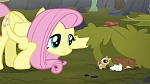 Image Mon Petit Poney : The Hooffields and McColts