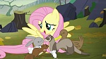Image Mon Petit Poney : The Hooffields and McColts