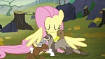 Image Mon Petit Poney : The Hooffields and McColts