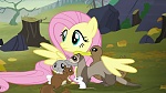 Image Mon Petit Poney : The Hooffields and McColts