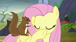 Image Mon Petit Poney : The Hooffields and McColts