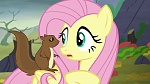 Image Mon Petit Poney : The Hooffields and McColts