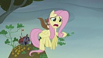 Image Mon Petit Poney : The Hooffields and McColts