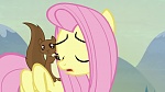 Image Mon Petit Poney : The Hooffields and McColts