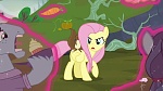 Image Mon Petit Poney : The Hooffields and McColts