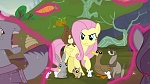 Image Mon Petit Poney : The Hooffields and McColts