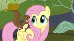 Image Mon Petit Poney : The Hooffields and McColts