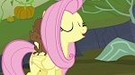 Image Mon Petit Poney : The Hooffields and McColts