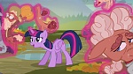 Image Mon Petit Poney : The Hooffields and McColts