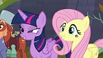 Image Mon Petit Poney : The Hooffields and McColts