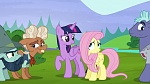Image Mon Petit Poney : The Hooffields and McColts