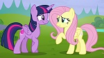 Image Mon Petit Poney : The Hooffields and McColts