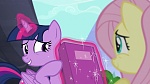 Image Mon Petit Poney : The Hooffields and McColts