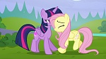 Image Mon Petit Poney : The Hooffields and McColts