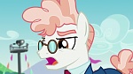 Image Mon Petit Poney : The Mane Attraction