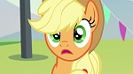 Image Mon Petit Poney : The Mane Attraction