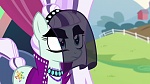 Image Mon Petit Poney : The Mane Attraction