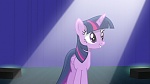 Image Mon Petit Poney : The Mane Attraction