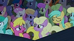 Image Mon Petit Poney : The Mane Attraction