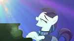 Image Mon Petit Poney : The Mane Attraction